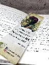 RECT Fée Fleur.webp