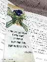 RECT Fée de dos.webp