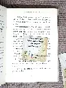 Fée de dos DOS.webp