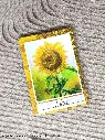 Carnet de Notes Sun