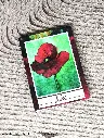 Carnet de Notes Coquille
